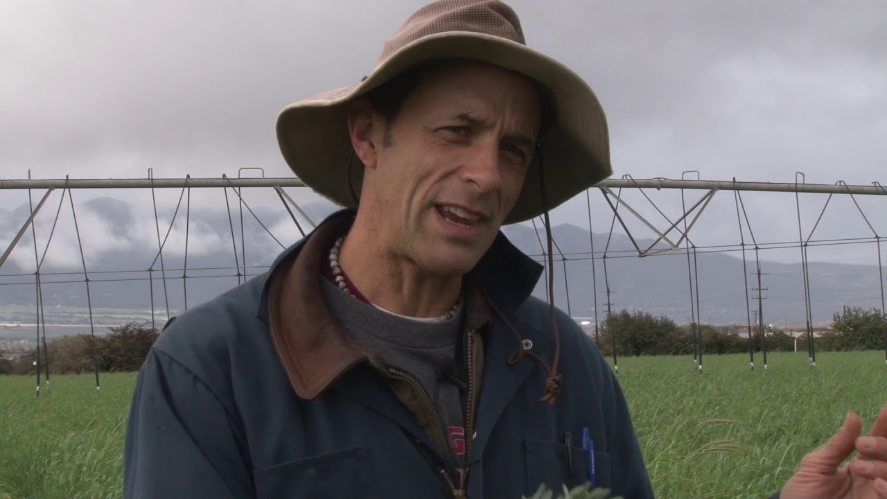 Cover Crops in Specialty Crops Production Systems