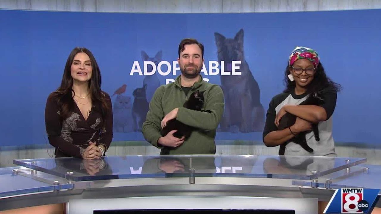 Meet Tessa and Zeke, our Adoptable Pets of the Week