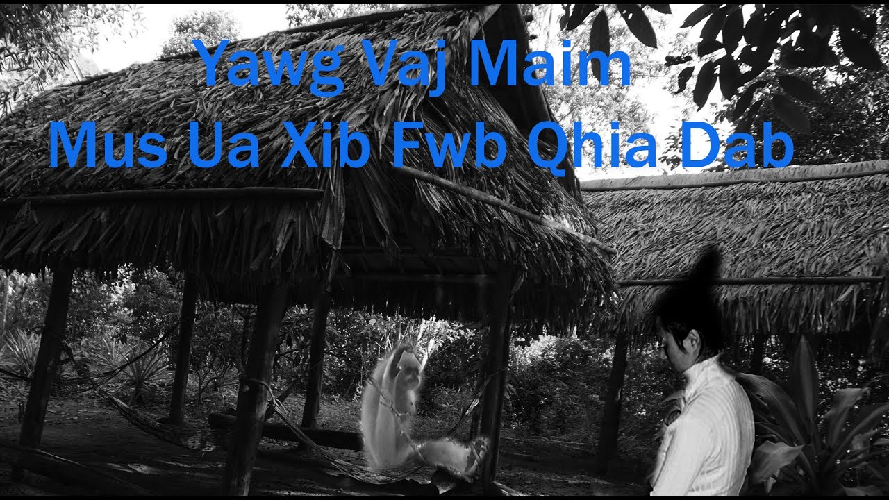 Jul 17, 2025 Yawg Vaj Maim  Poj Ntxoog Coj Mus Ua Xib Fwb Qhia