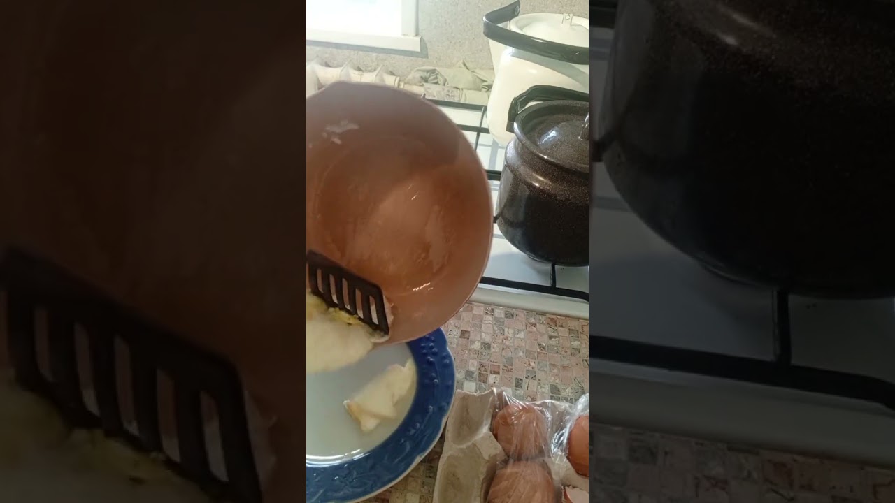 Послание русским расистам от азиатки / кошачьи и собачьи головы