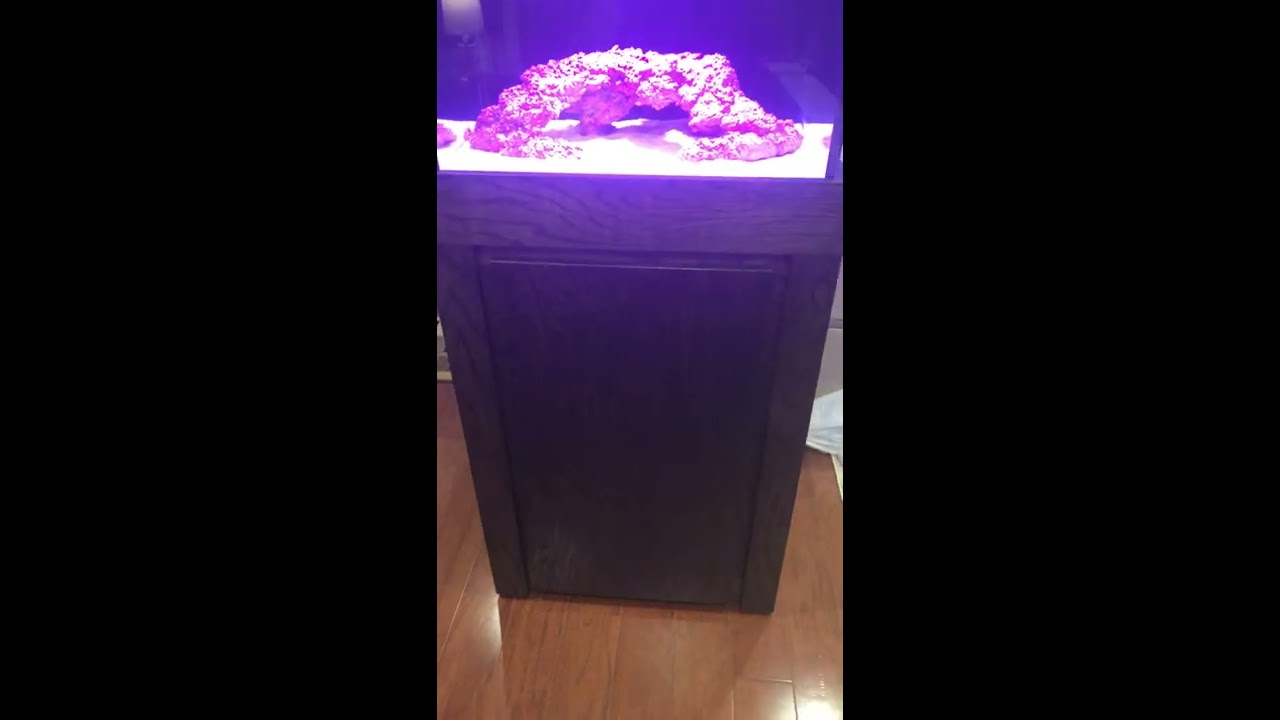 Nuvo Fusion 25 Lagoon New Build