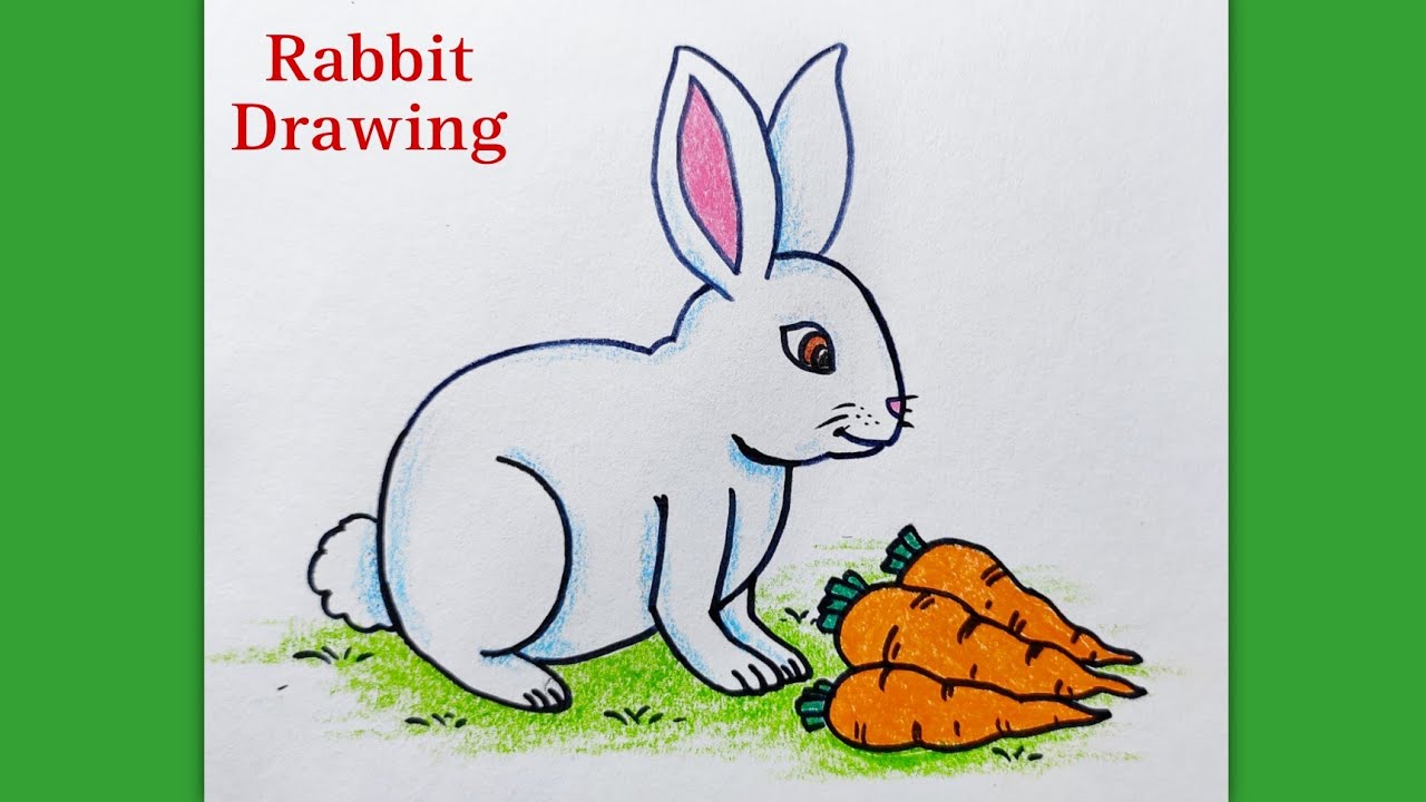 Rabbit Drawing | खरगोश का चित्र | How to Draw a Rabbit with Carrots | Draw Khargosh | Animal Drawing