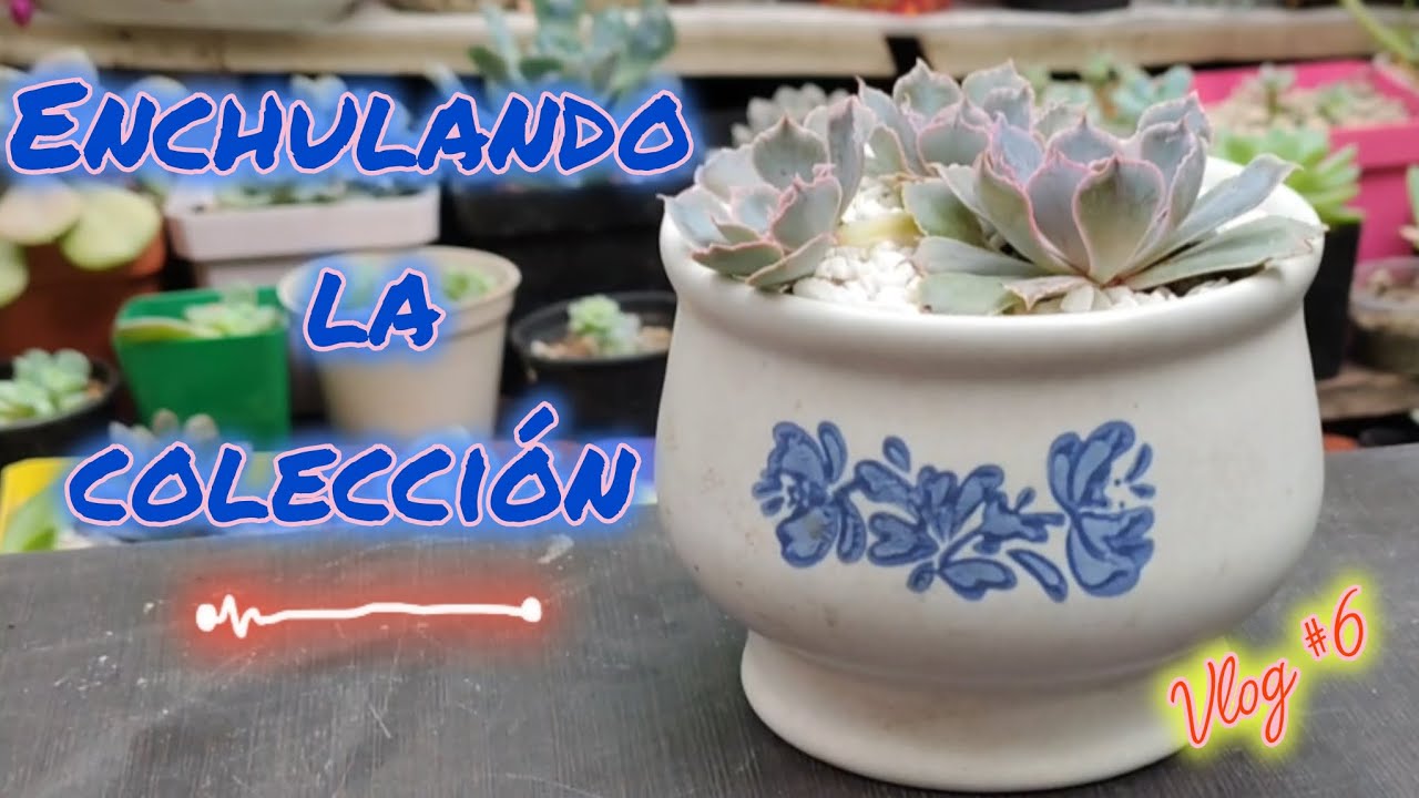 Seguimos poniendo bonita la colección 💜 