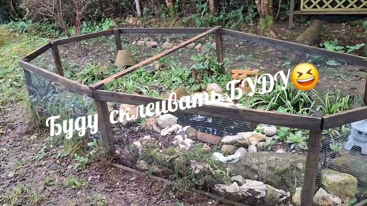 Дела садовые в январе/ тюльпаны/ лимоны/ бугенвиллия...