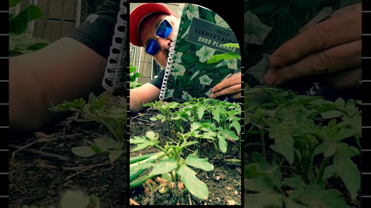 How a Garden Journal Can Help #gardeningtips #gardening #neurodivergent #adhd #audhd #ecofriendly