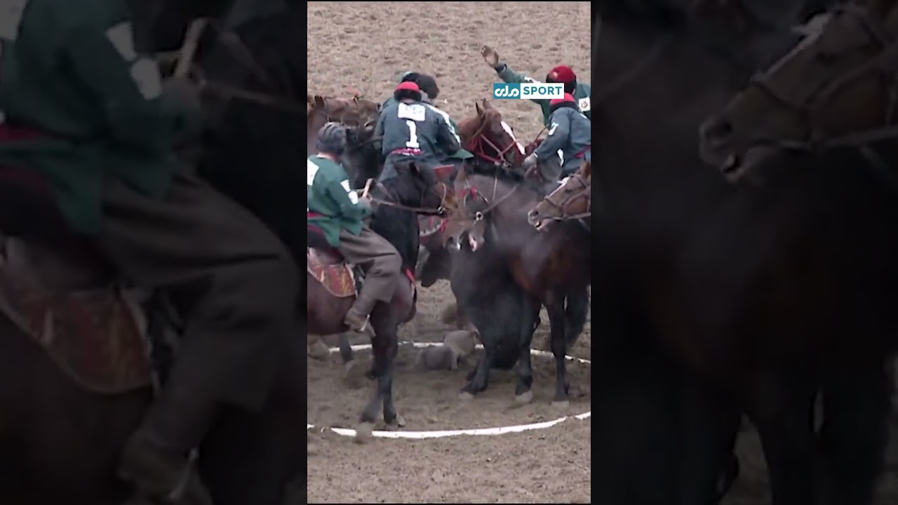 حرکات جالب و دیدنی ۴ برادر چاپنداز که ولایت سمنگان را به پیروزی رساند#RTASport#buzkashi#MazariSharif
