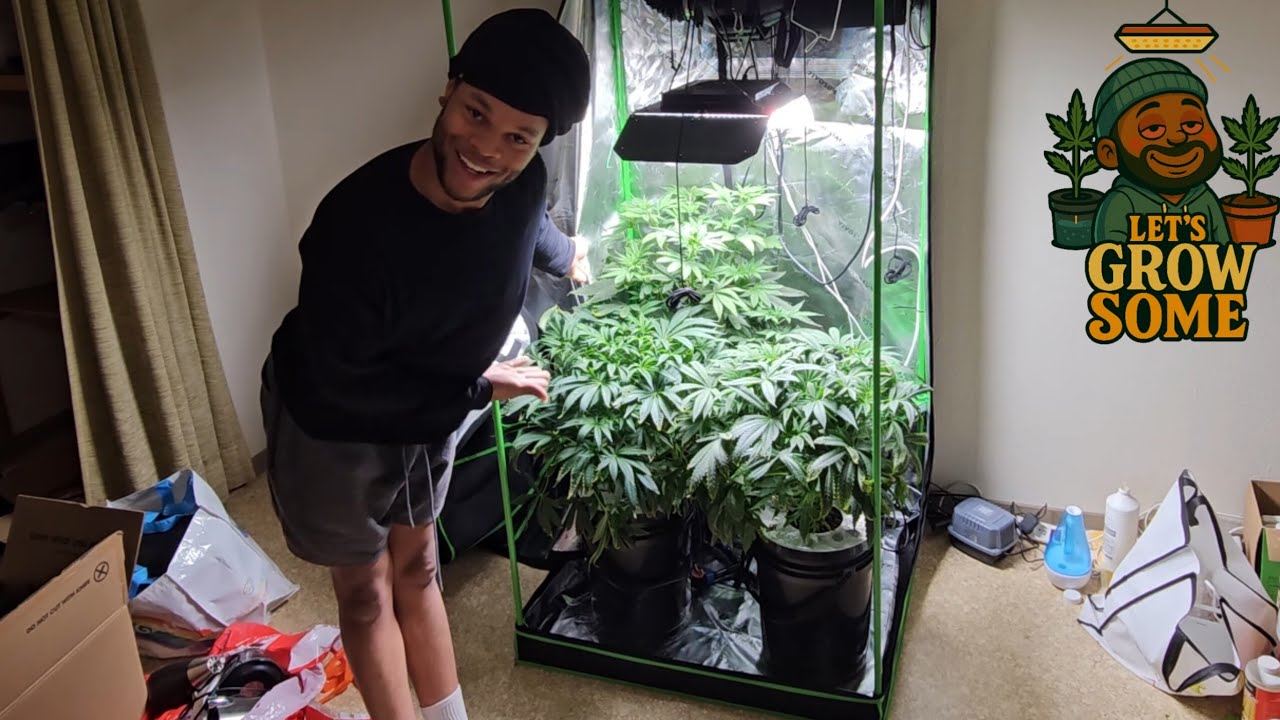 Let's Grow Some Ep.7 | The Plants Are Getting Big!