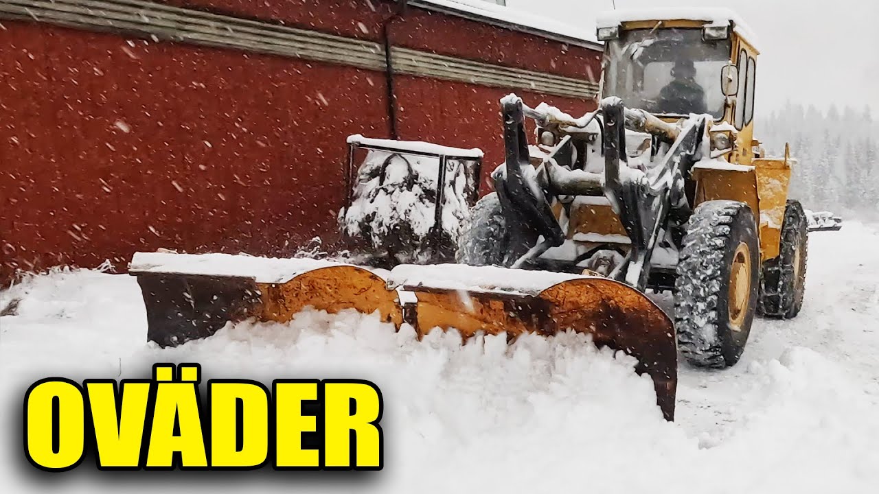 LM846 - SKOTTAR I OVÄDER