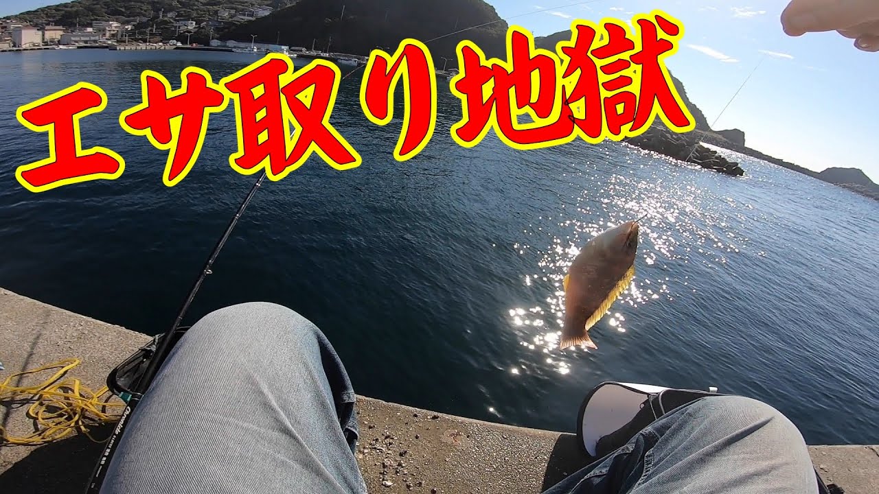【かぶせ調査釣行　離島編②】釣り/海釣り/かぶせ釣り/離島/コブダイ/イシダイ/イシガキダイ