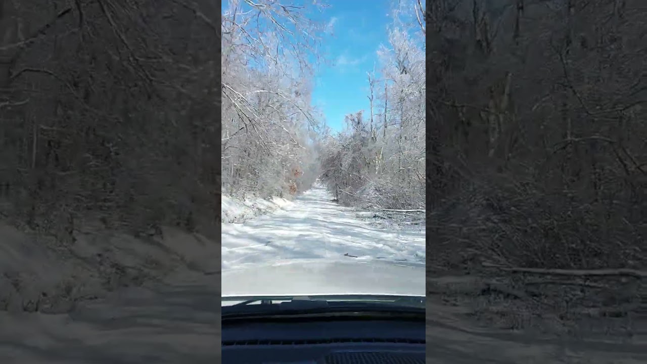 Comment with your answer.... Tennessee, Kentucky, or Michigan....  #viral #winterstorm