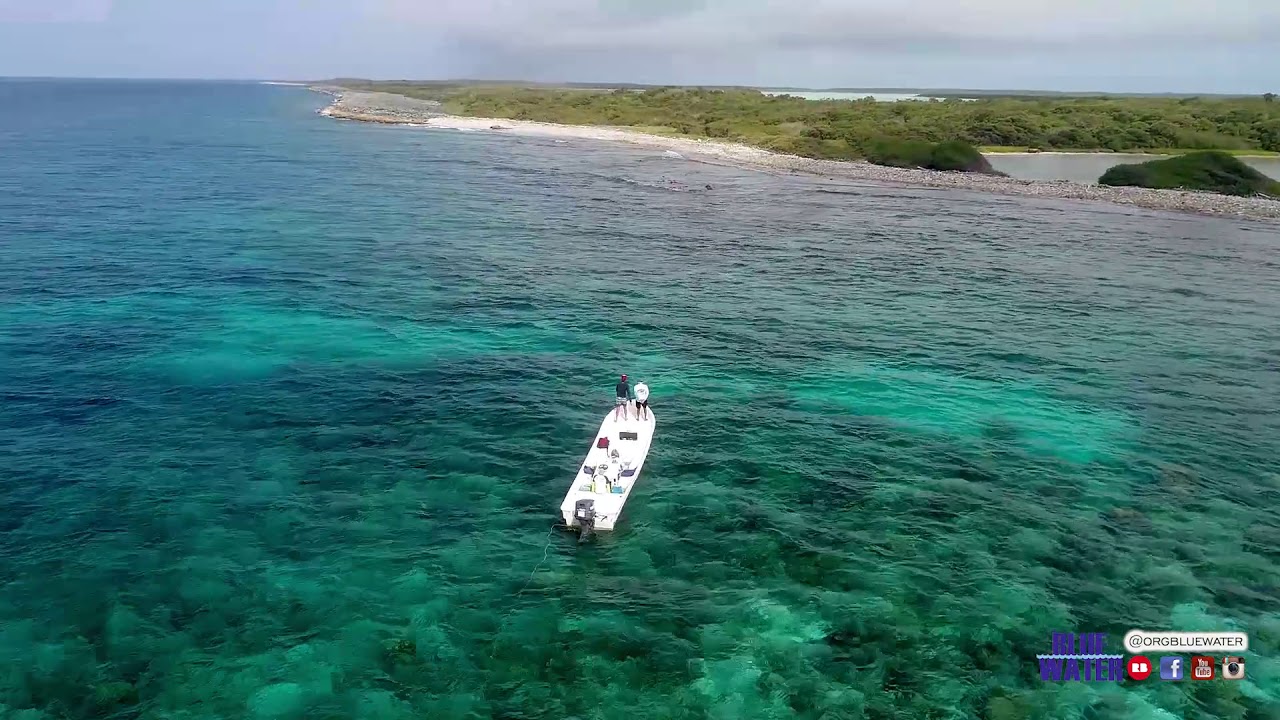 video pesca 2