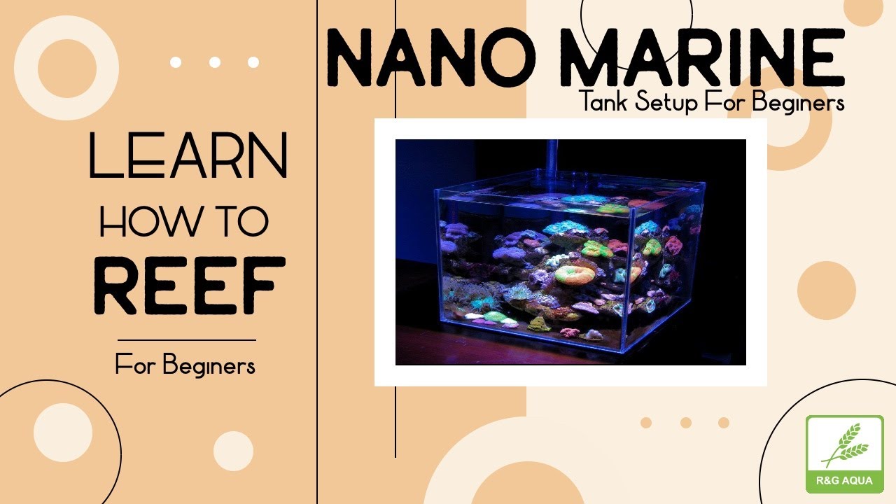 Setting Up a Nano Marine Tank | Reef Tank Basics | Piece Of Ocean