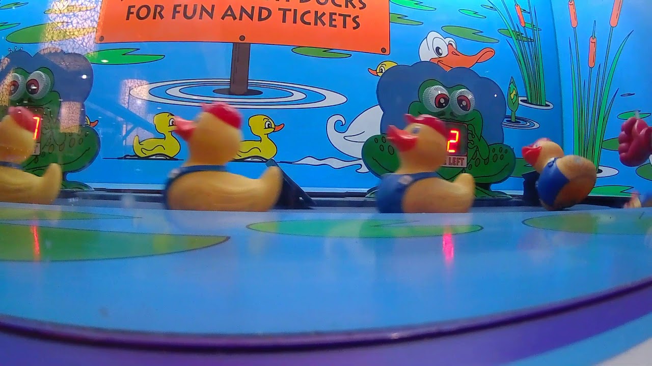 Wacky Ducks Arcade Malfunction.   Mal función Wacky D.