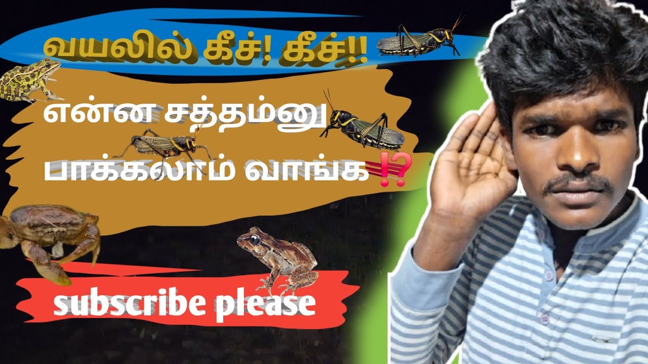 🦗🐝🐜இரவு நேர பூச்சி சத்தம் 🦗🦀🐸 #allanimals #allpets #guppyfish #moolyfish #aquarium #shorts #trending