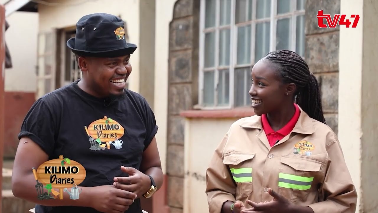 Dairy Feeding Practices to boost milk & Butterfat content PART 1 | Kilimo Diaries