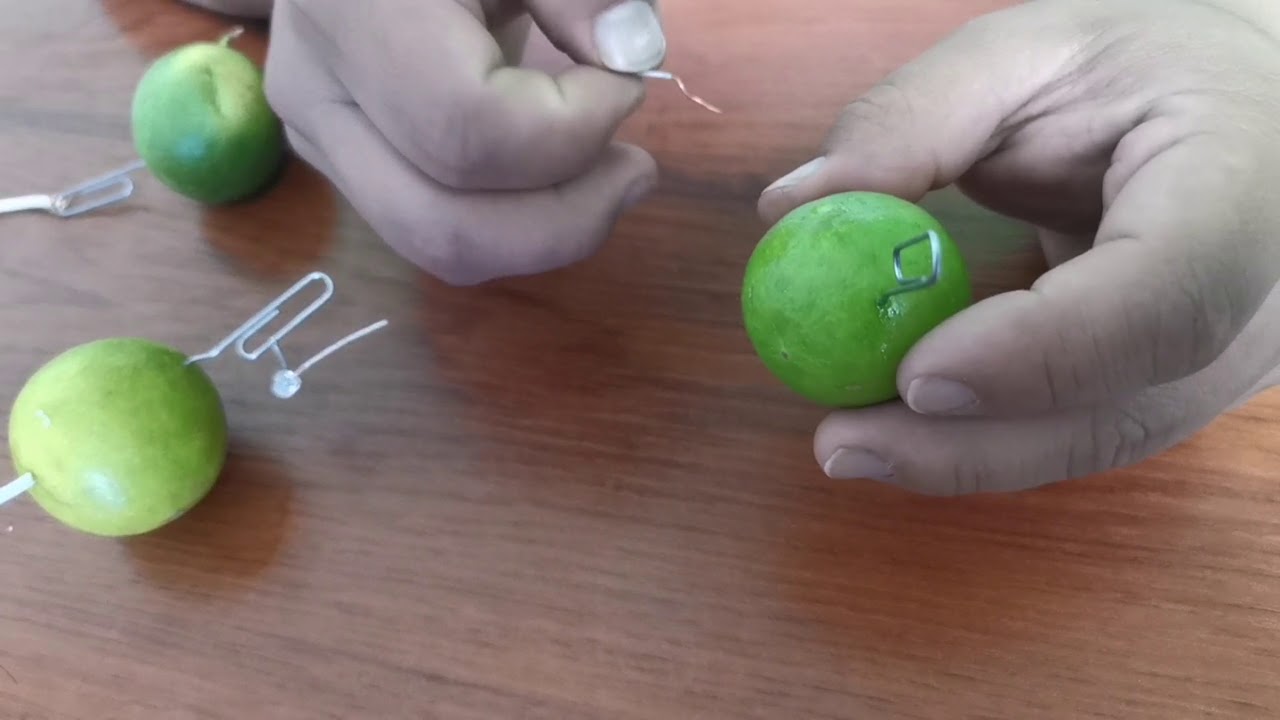Encender una luz led con limones - experimentos para hacer en casa