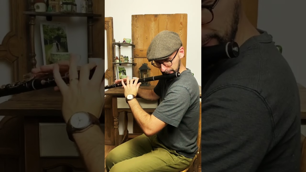 The reconciliation, very hard to play on irish flute. 😅It was difficult for me 🥵  #irishflute
