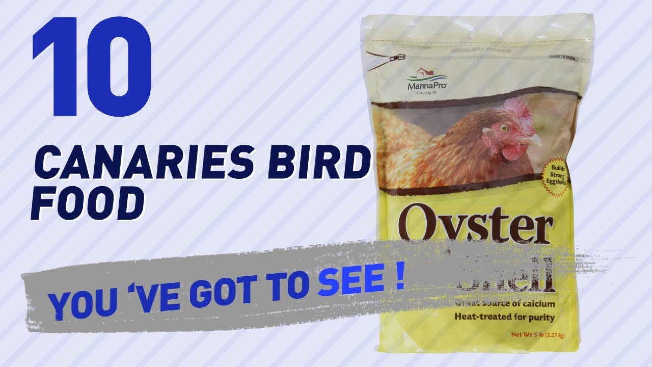 Top 10 Canaries Bird Food // Birds Lover Channel Presents: