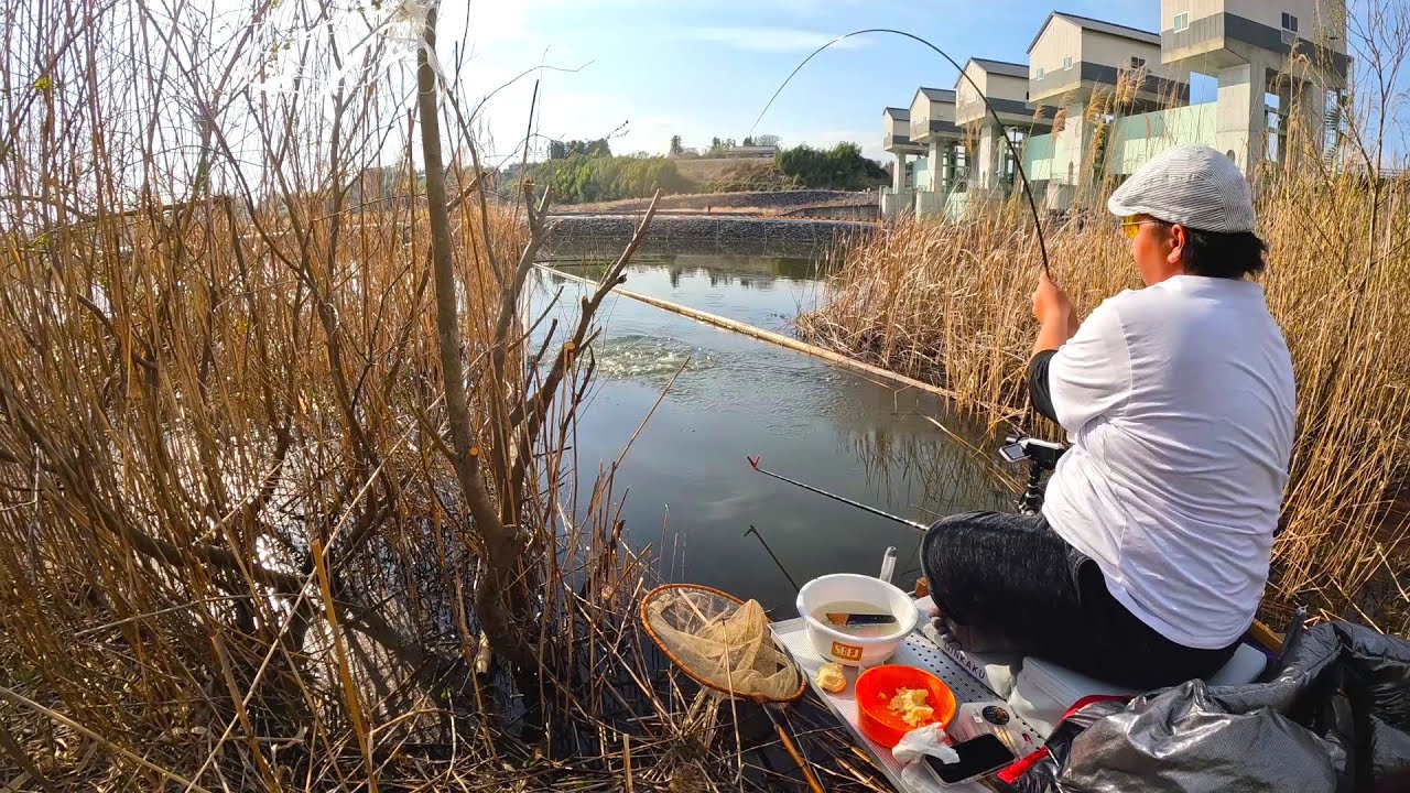 昨年鮒が大量死してしまった長沼ダムで釣りをする！