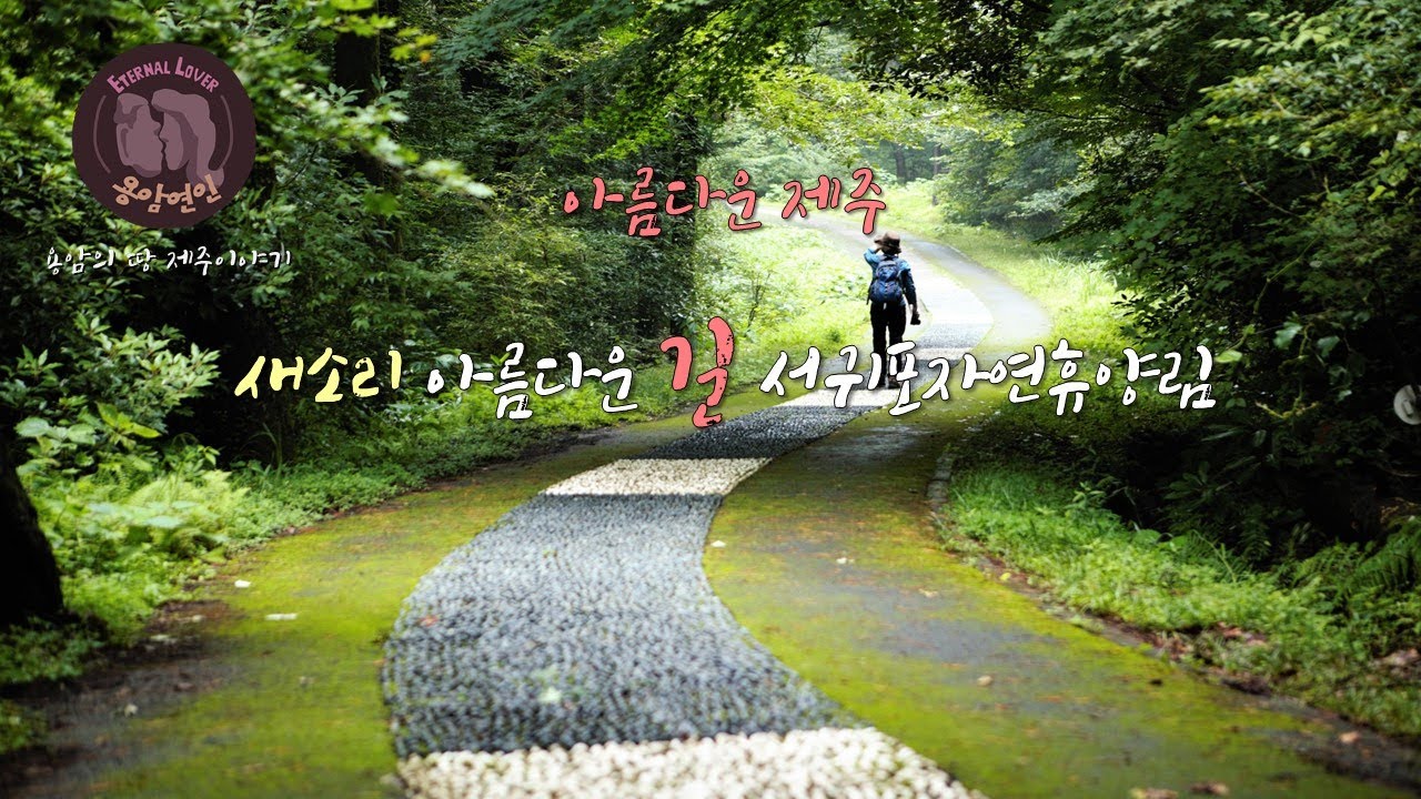 아름다운 제주  -새소리 아름다운 길 서귀포자연휴양림/Seogwipo Natural Recreation Forest-