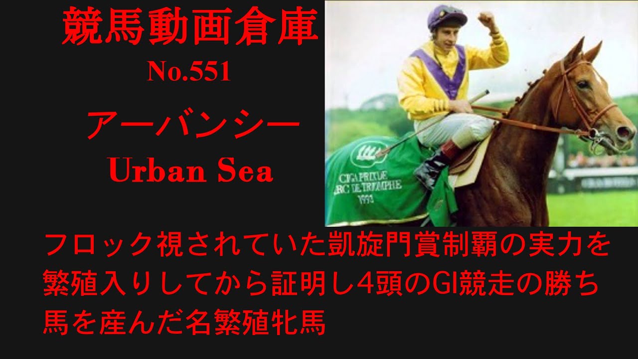 【競馬】アーバンシー　Urban Sea【No551】