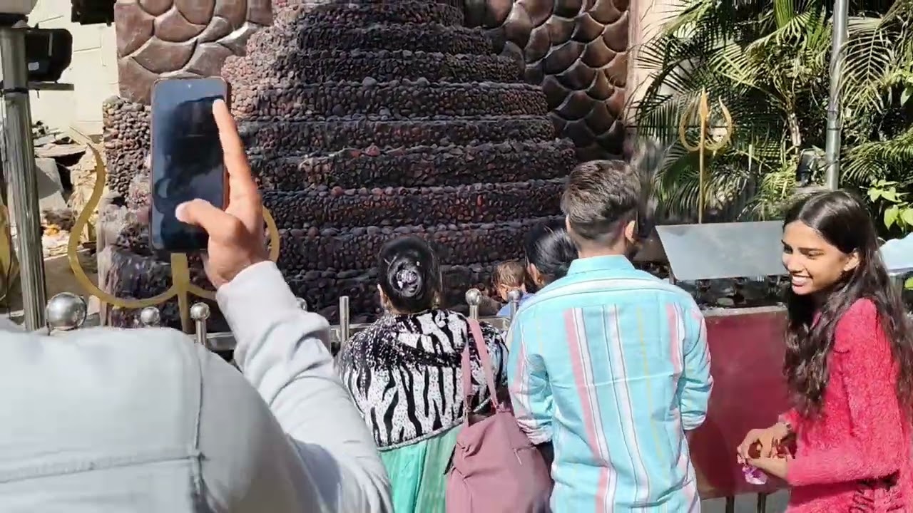 12345678910, Narsinghpur mandir