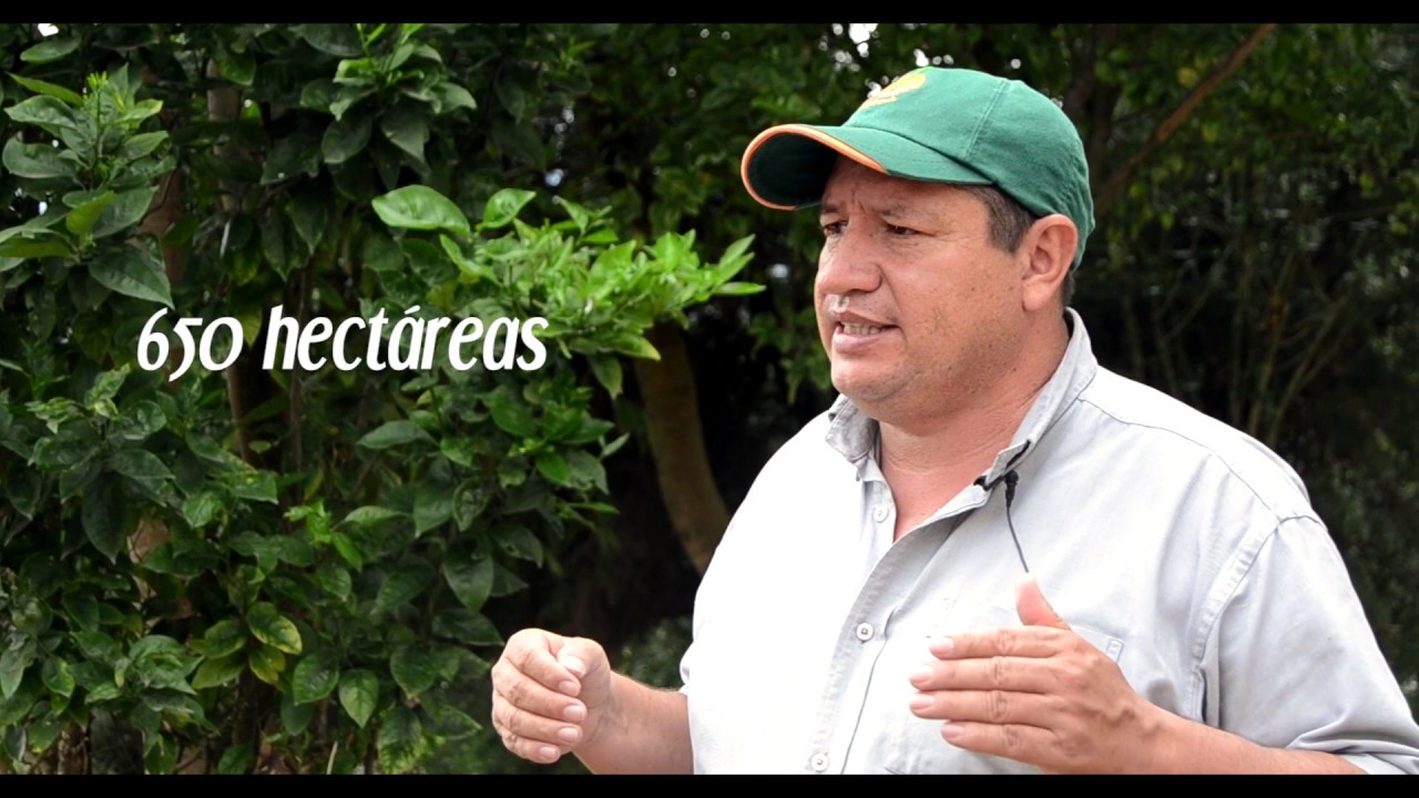 DOCUMENTAL A LA SOMBRA DE LA NARANJA - PACHO CUNDINAMARCA