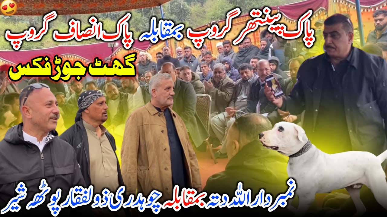 Biggest Ghat Jor Fix in Dadyal 😍✨ Panther Group Vs Pk Insaf Group || Family Vlog