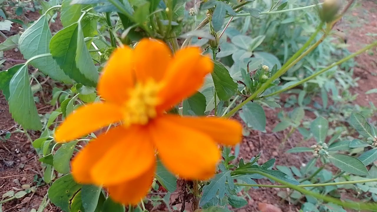 ரேவதியை வெளியூர் கூட்டிச் சென்ற கார்த்திக் 13 பிப்