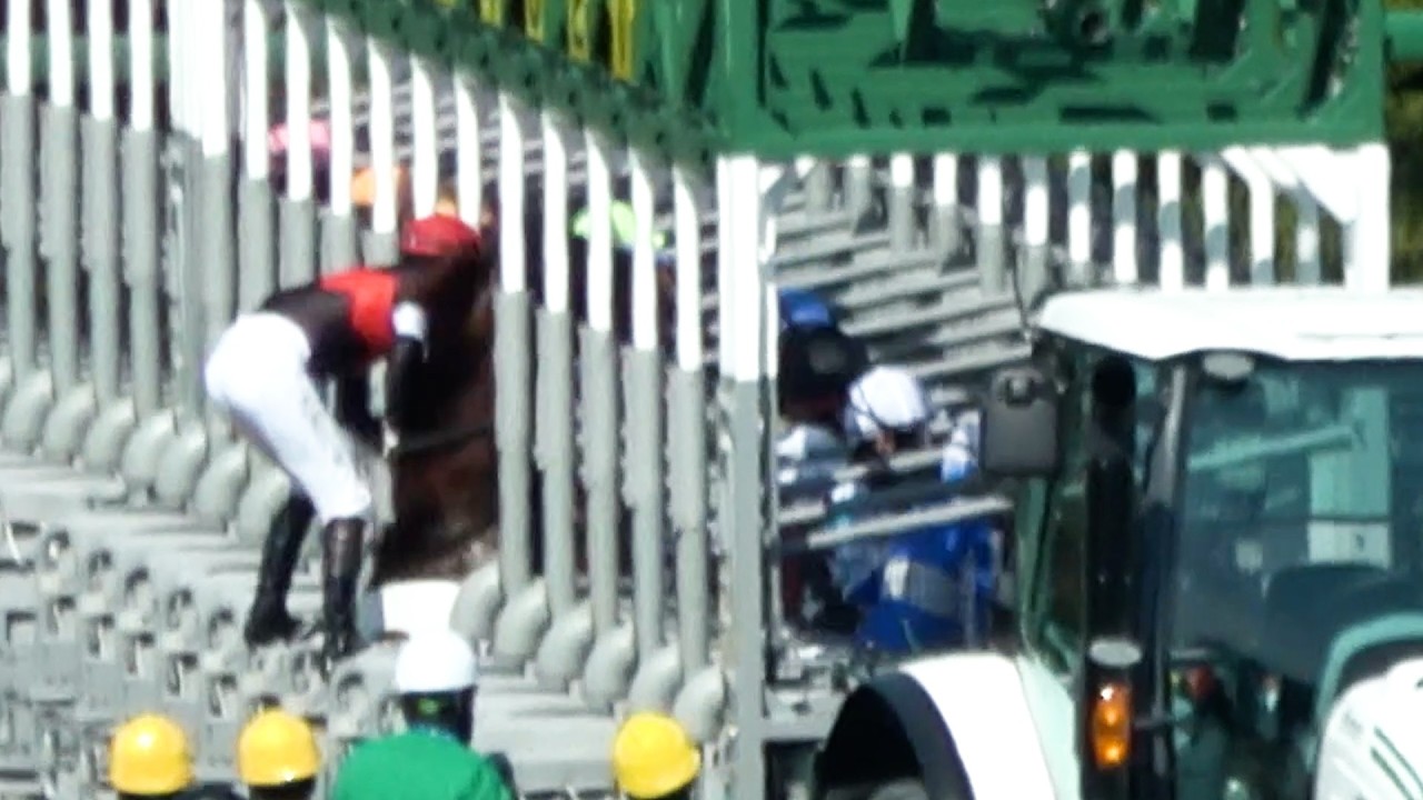 【落馬】【放馬】⑤コーリンラズベリーが松山弘平騎手をゲート後ろに放り投げて一人でレース‼ しかも2度ゴールする‼ 現地映像