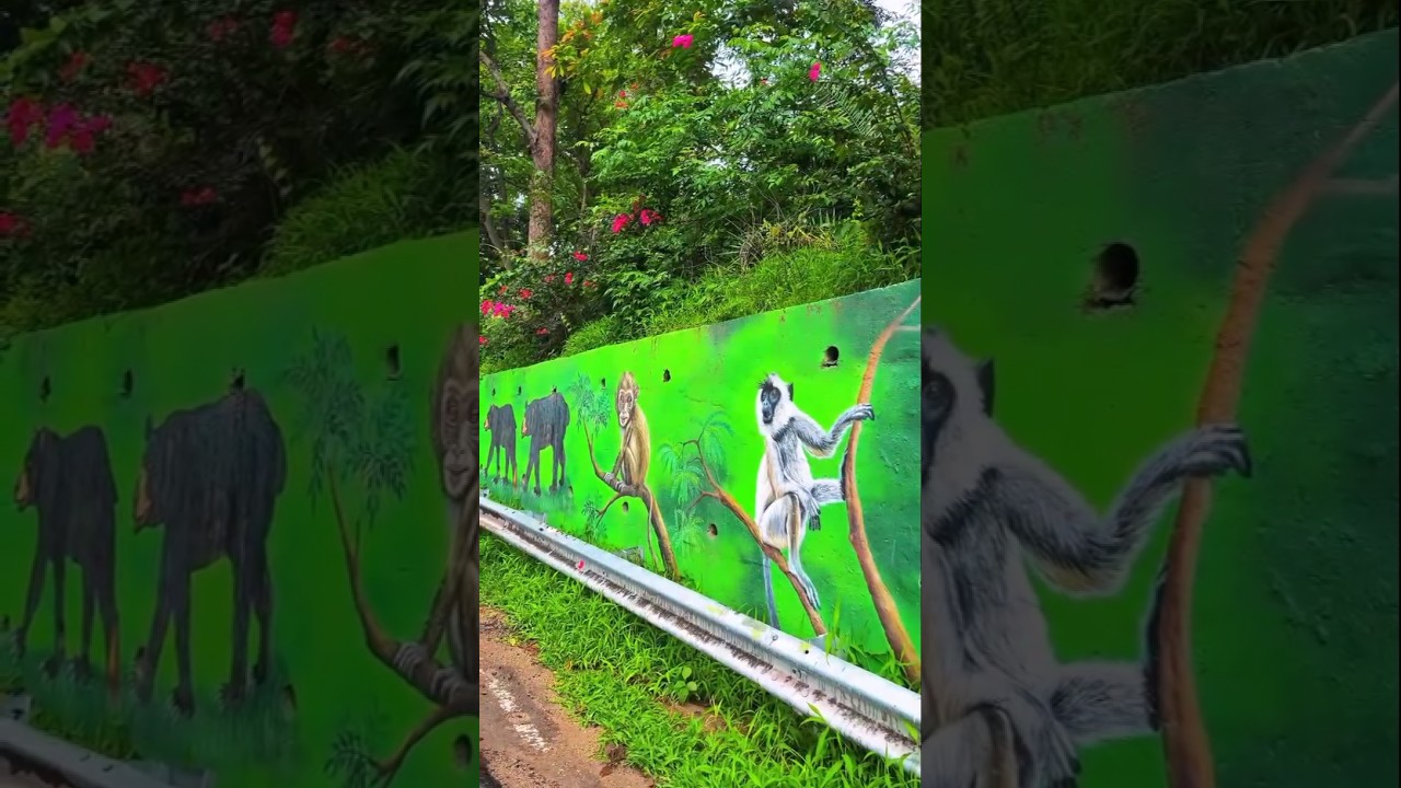 kanker velley ❤ #shorts #cg #bastar #kanker #cgsong #viral #trending #nature #chhattisgarh..
