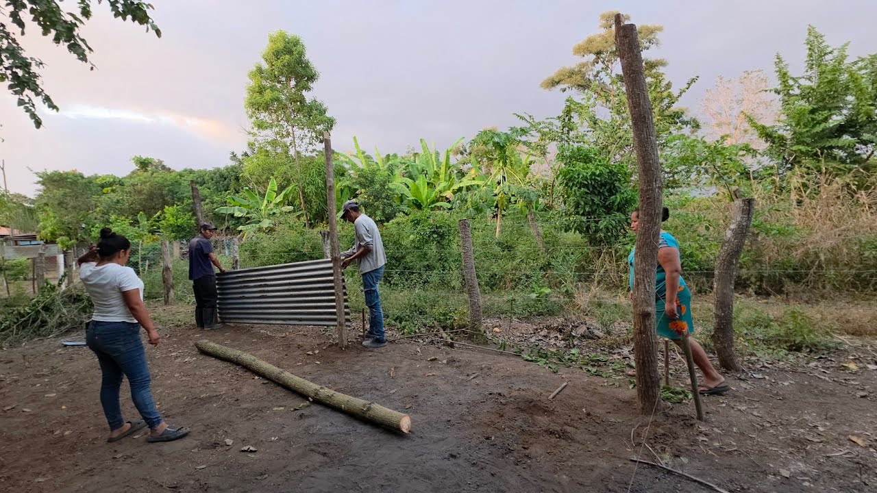 Cushin y Tetengo llevan los palos para el terreno donde vivirá Cushin y su familia. 