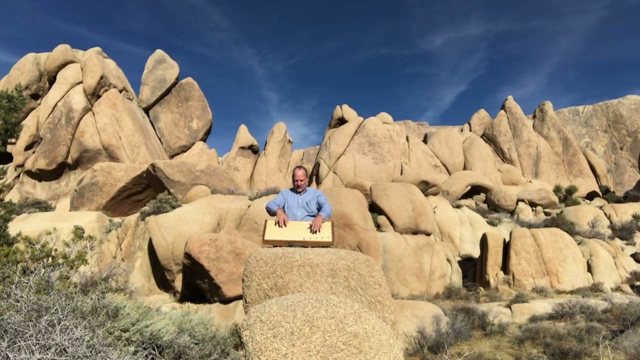 feeltone Monolina Monochord in A &ndash; Sound Demo & Nature Inspiration in Joshua Tree - Stonedance 🌵✨