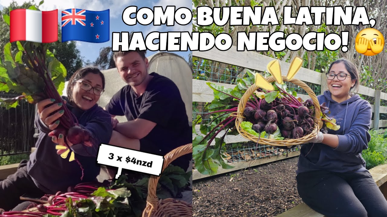 Mi esposa latina puso a la venta nuestros vegetales y esto nos pagaron | Nuestro huertito en NZ 🇳🇿
