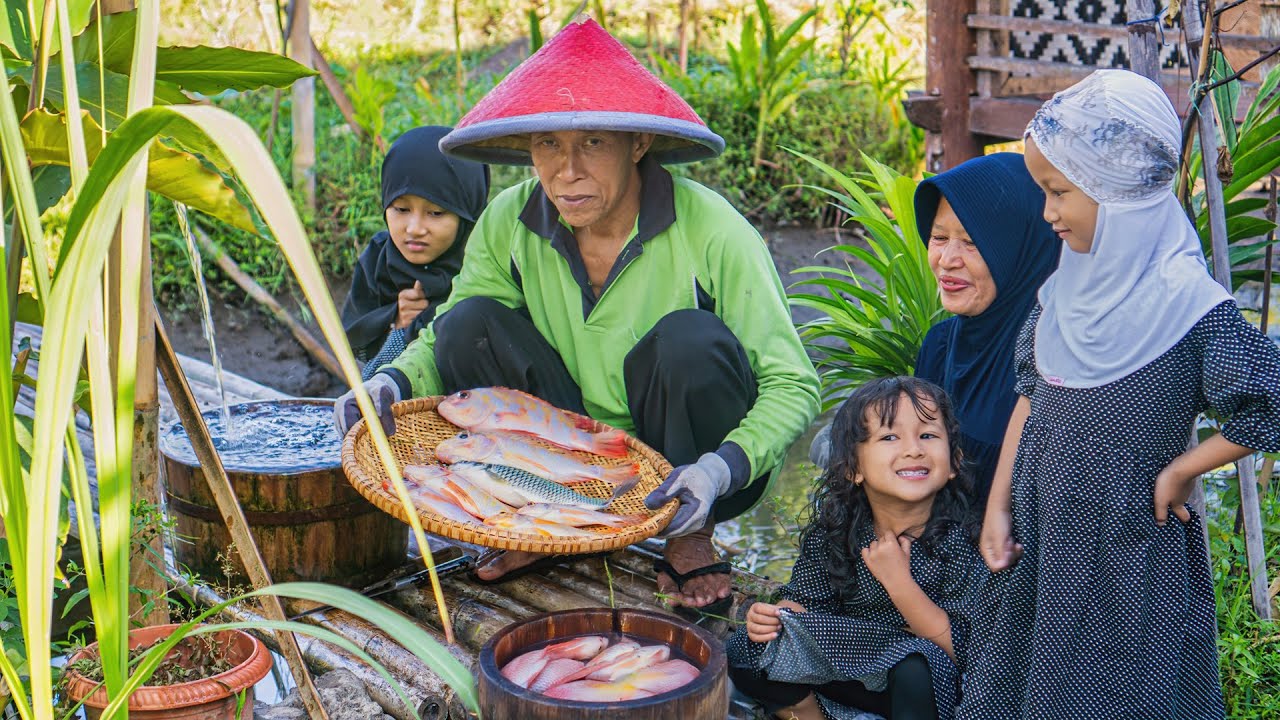 Nyerok Ikan di Kolam bersama Cucu | Masak Ikan Goreng, Orak Arik Brokoli, Stik Kentang Keju, Sambal
