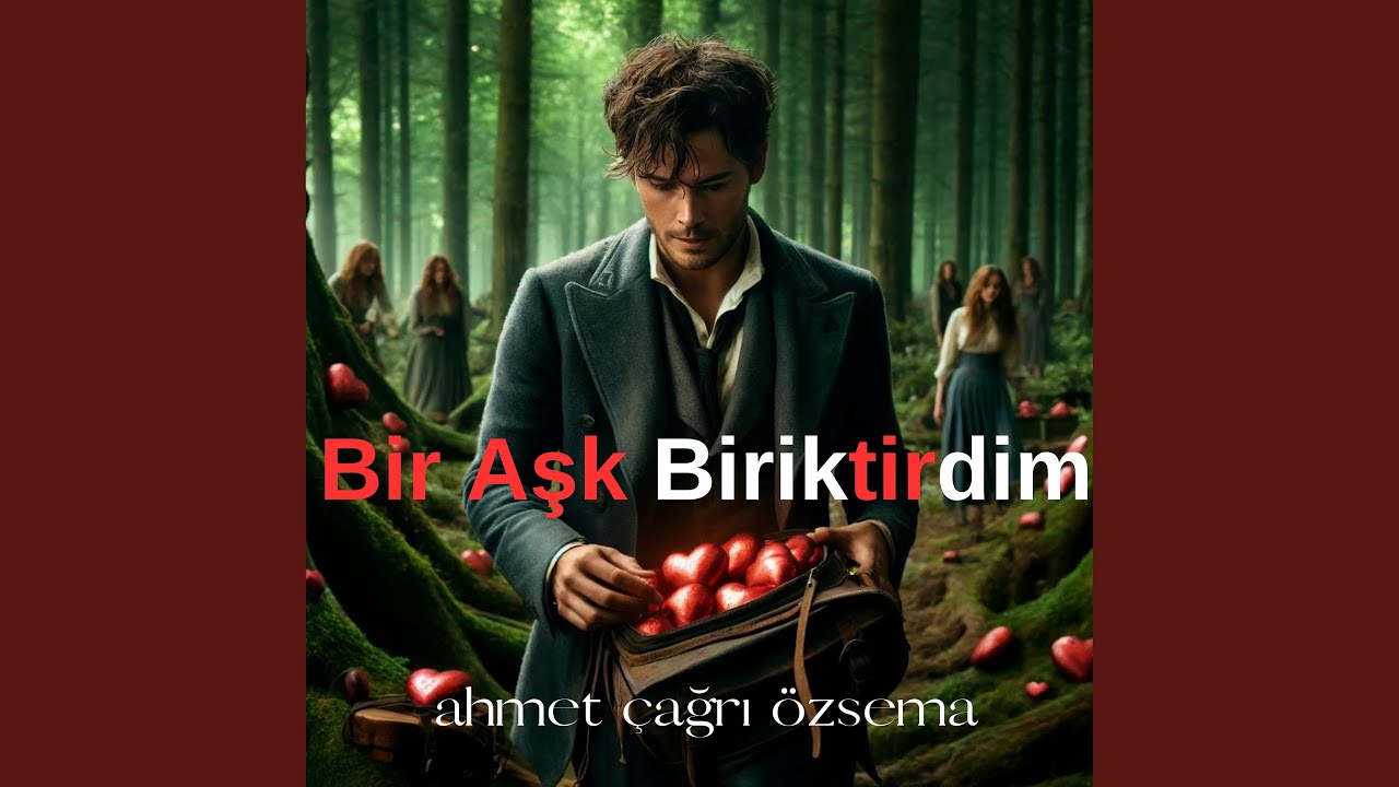 Bir Aşk Biriktirdim
