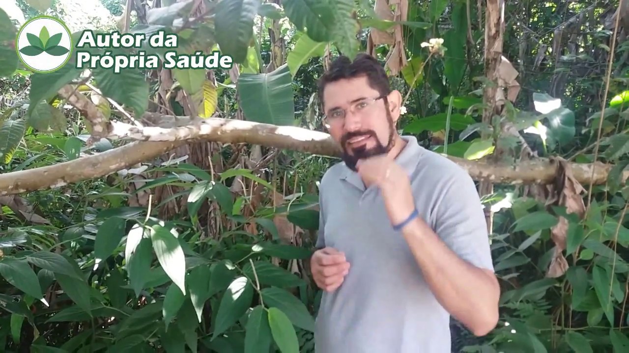 Autor da Pr&oacute;pria Sa&uacute;de - Dica de Planta Medicinal #Pimenta-de-macaco