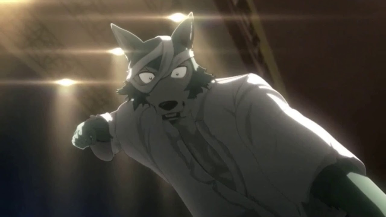 Beastars 「AMV」◘◘◘  