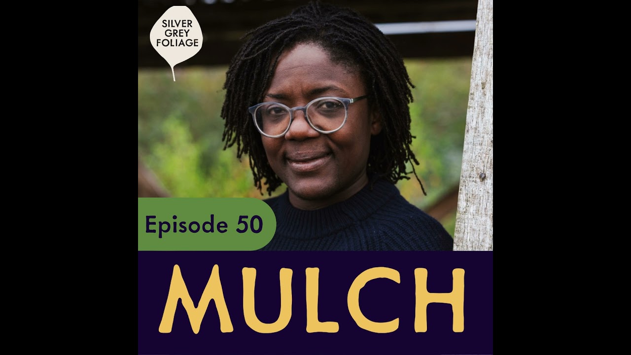 5 easy bits of preparation to Market your Flower Farm at the start of 2026