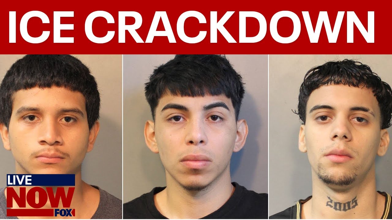 40 MS-13 gang members arrested in Long Island ICE crackdown