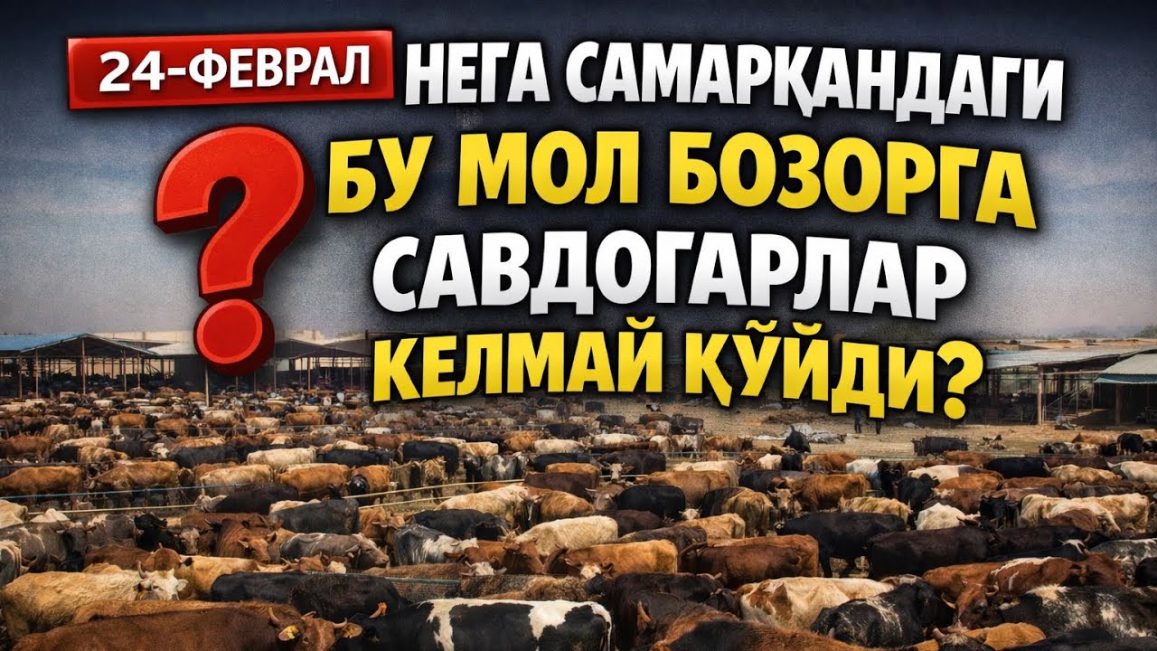самарканд буйлаб куплаб бозорларга борамиз✅бозор обзорлари ва тугри малумотлар
