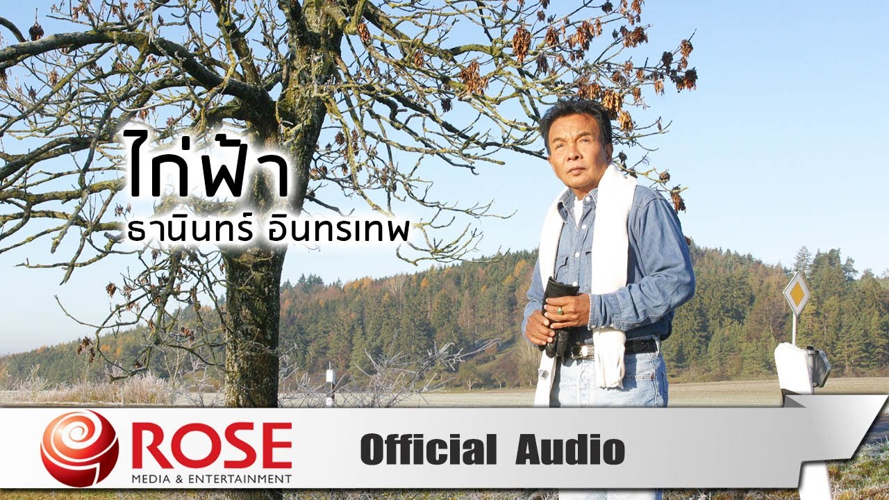 ไก่ฟ้า - ธานินทร์ อินทรเทพ (Official Audio)