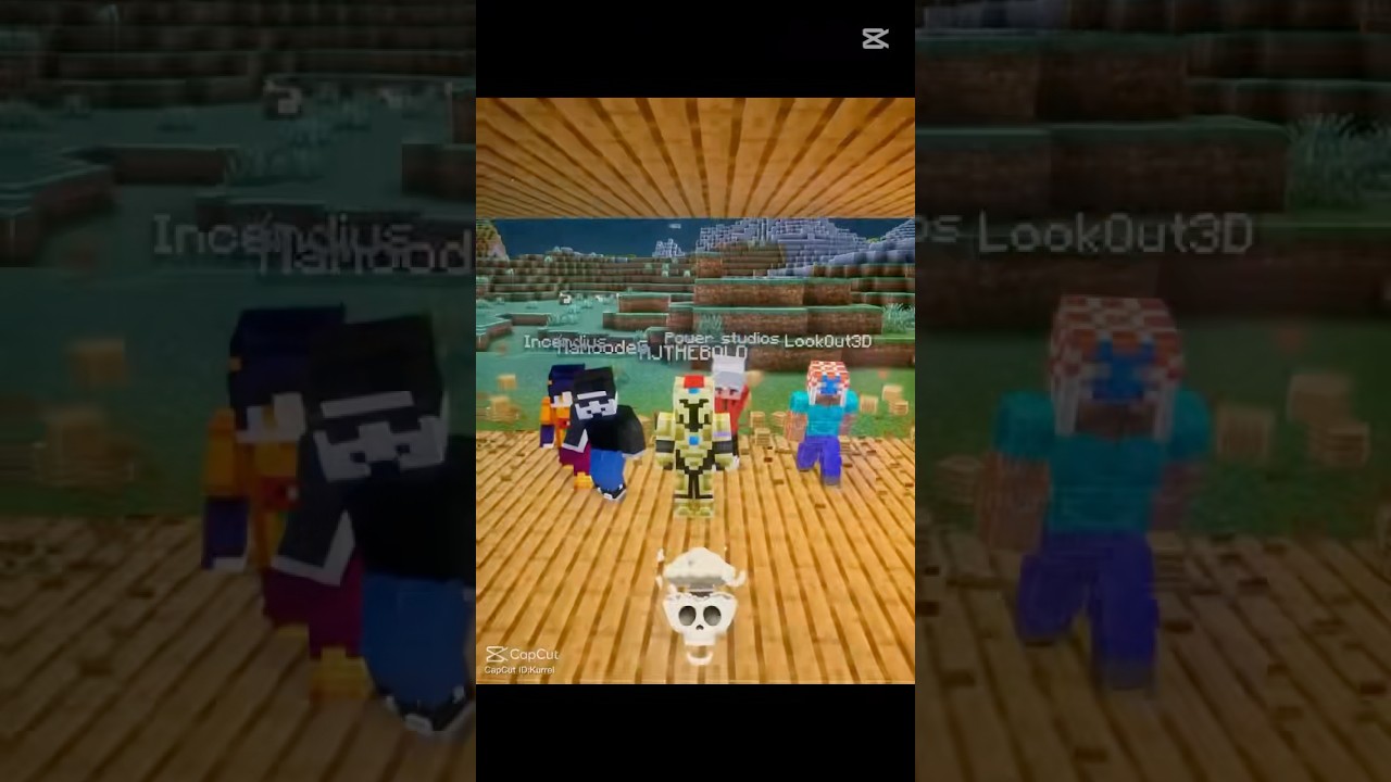 Minecraftpov￼☠️