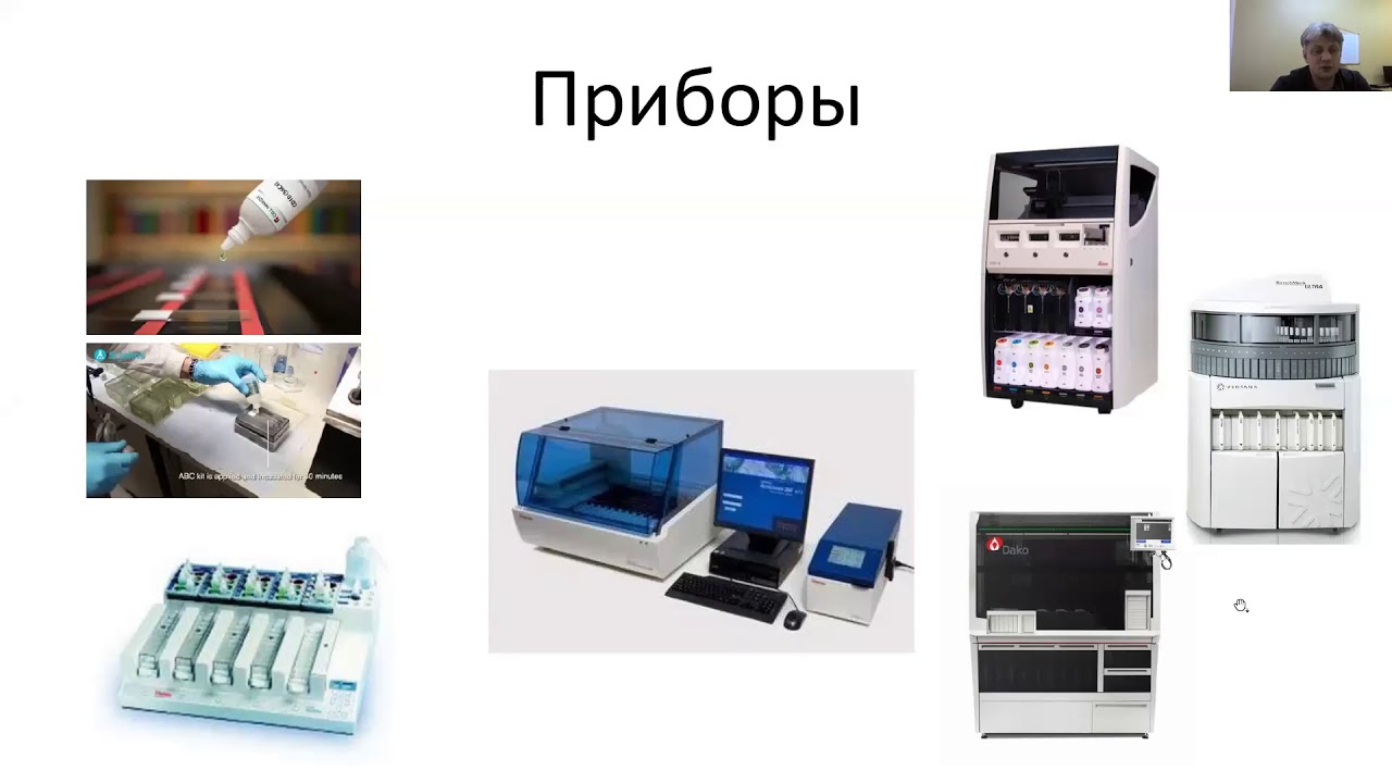 Технологии иммуногистохимии.