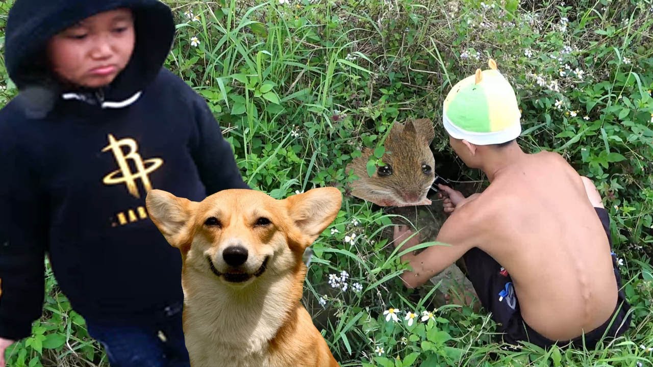 Mao Đệ Đệ Đi Bẫy Chuột Đồng Về Nướng - Những Câu Chuyện Đời Thường Của Hai Anh Em