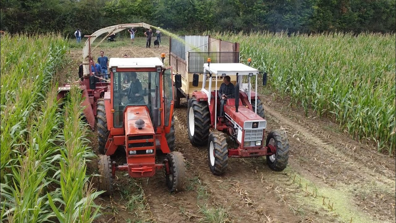 Ensilage de maïs avec plusieurs vieilles bécanes ! 🚜💨