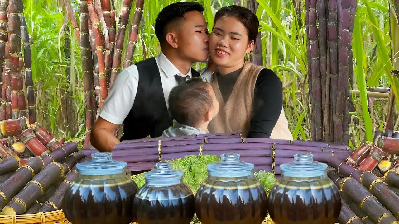 How to Make Molasses - Preserve Sugarcane for a Long Time - Harvest Sugarcane | Trieu Thi Thuy