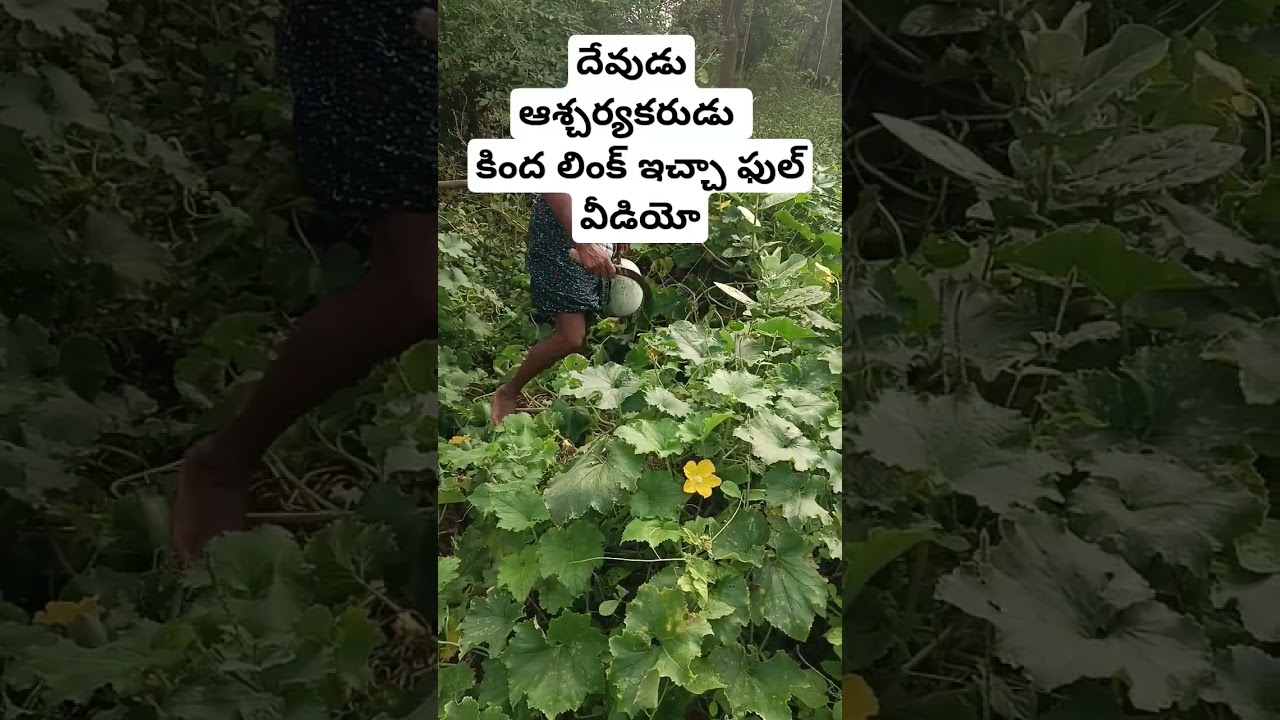 దేవుని ఆశీర్వాదం అంటే ఎలా ఉంటుందో #nycilkk #teluguchristiansongs