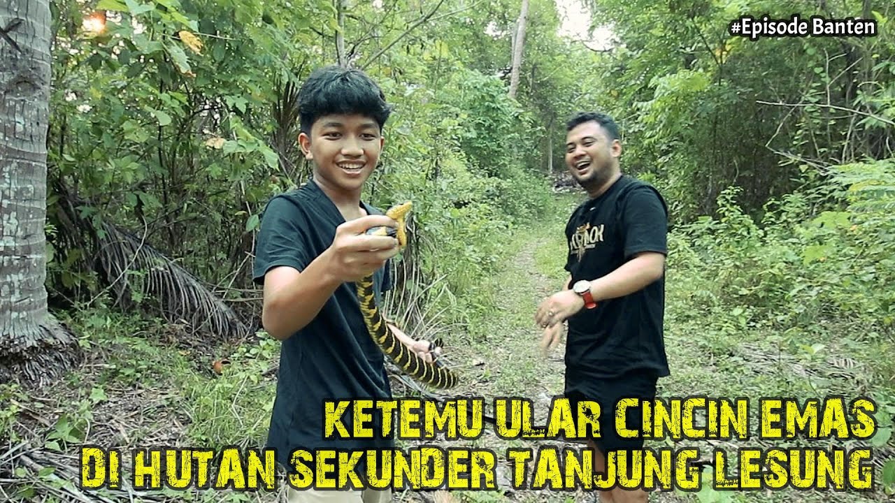 PANJI PETUALANG DAN NINO TURTLE KING HERPING DI HUTAN TANJUNG LESUNG KETEMU ULAR CINCING EMAS LIAR !