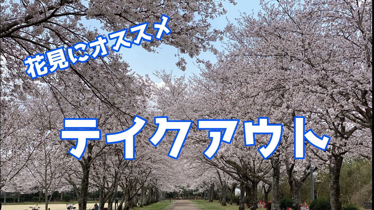 【千本桜】お花見シーズンに持っていきたくなるお弁当6選